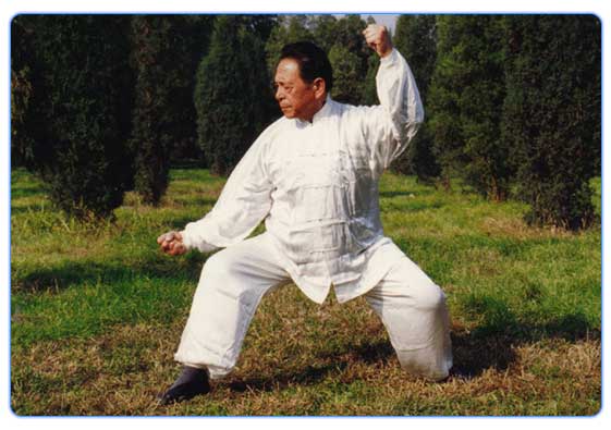 Grand Master Feng Zhi Qiang